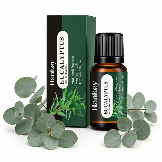 Eucalipto - Ricarica Anti-Odori 10 ml