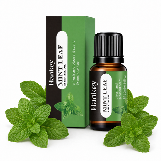 Menta - Ricarica Anti-Odori 10 ml