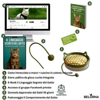 Cesto Istintivo | Il primo territorio naturale convalidato dalla ricerca per gatti d'appartamento