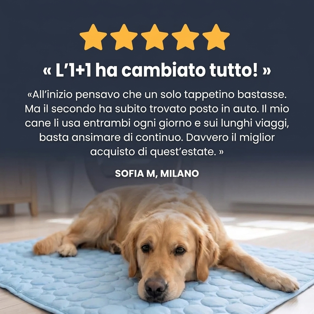 Tappetino Rinfrescante per cani Belorna (1+1)